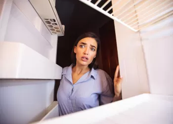 Derin Dondurucu Arızaları ve Çözümleri – Derin Dondurucum Çalışmıyor!